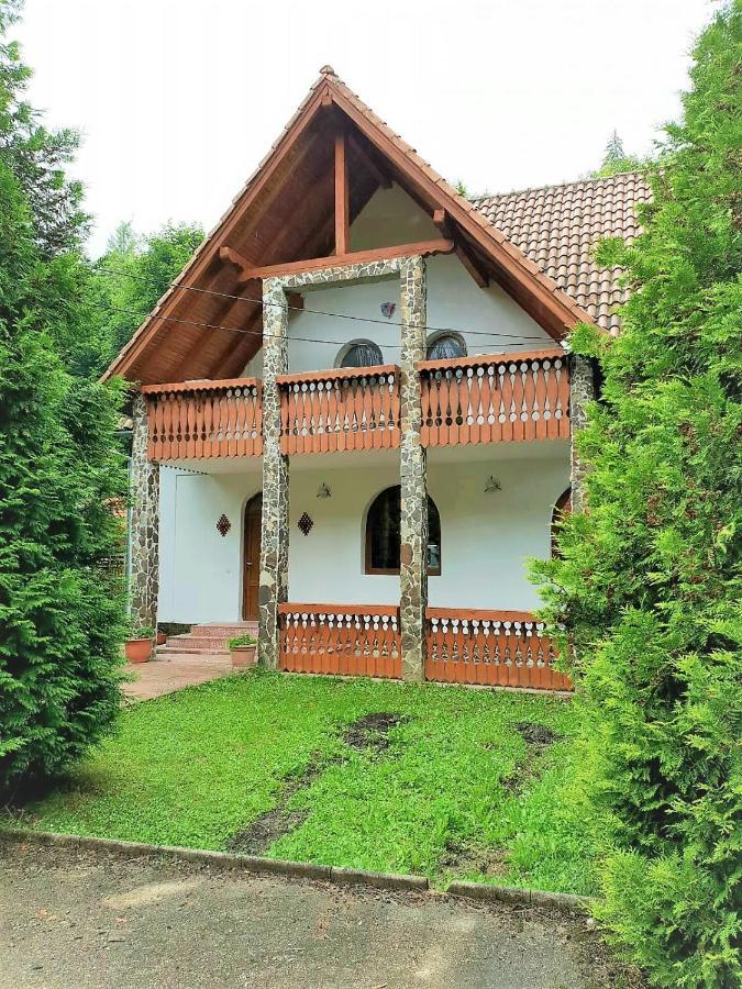 Vila Luca'S Кирцишоара Екстер'єр фото